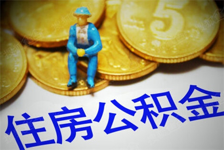 2025最新网贷口子不看征信，专业概括5个无视征信的网贷口子