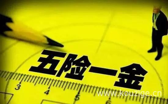 2025不看征信可下款的口子，专业概括5个什么网贷不看征信好下款